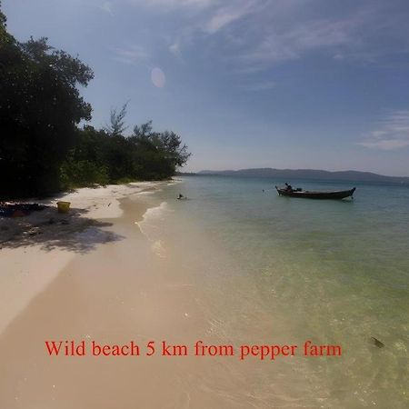 Pepper Farm Phu Quoc Bungalow Zewnętrze zdjęcie