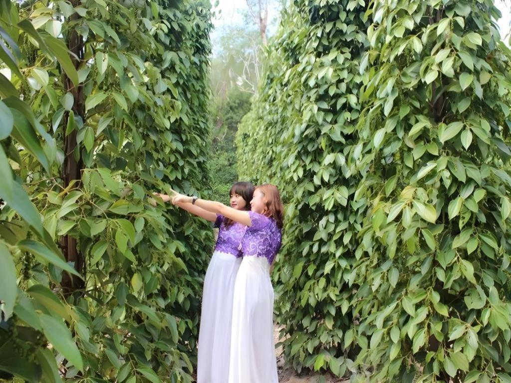 Pepper Farm Phu Quoc Bungalow Zewnętrze zdjęcie
