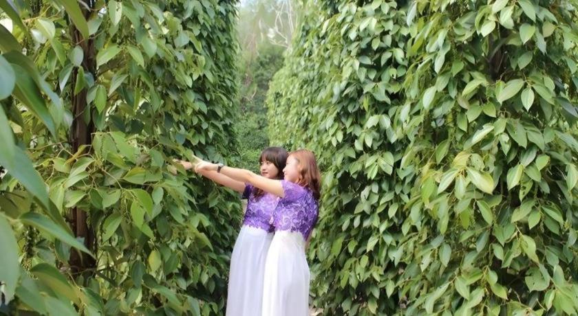 Pepper Farm Phu Quoc Bungalow Zewnętrze zdjęcie