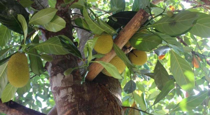 Pepper Farm Phu Quoc Bungalow Zewnętrze zdjęcie